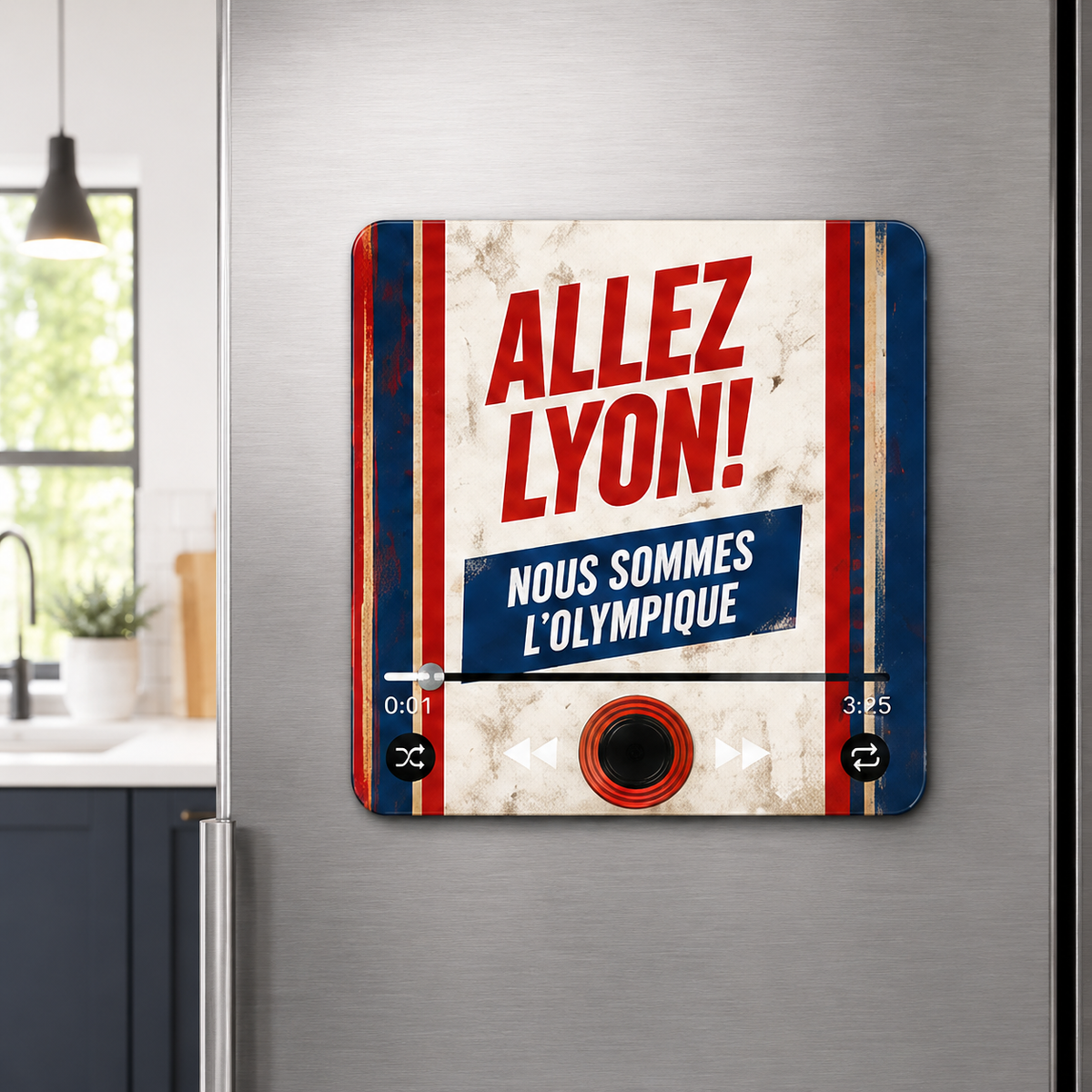 Lyon magnete sonoro su un frigorifero