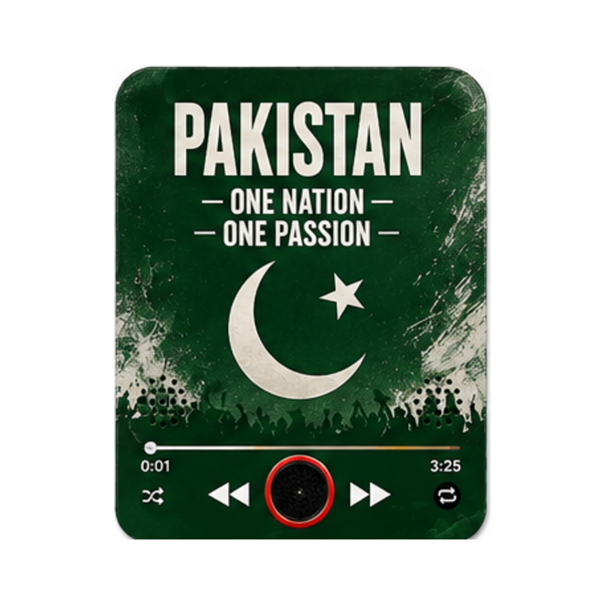 Pakistan cricket magnete sonoro