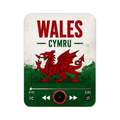 Wales magnete sonoro da calcio